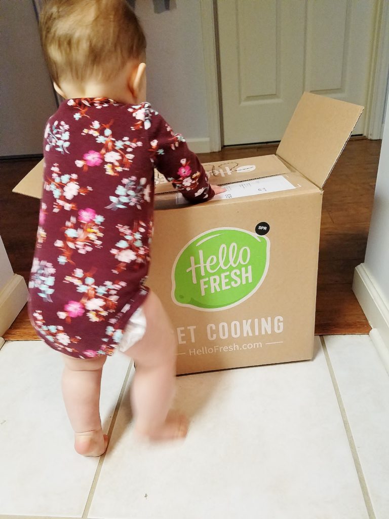 hello fresh family meals